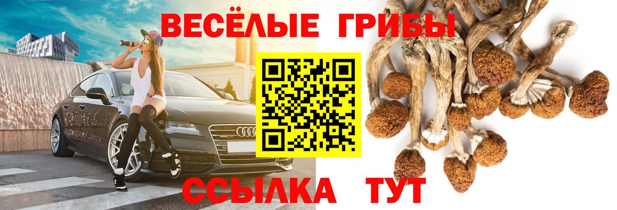 Галлюциногенные грибы Psilocybine cubensis  что такое наркотик  Зеленокумск  Вход с VPN 