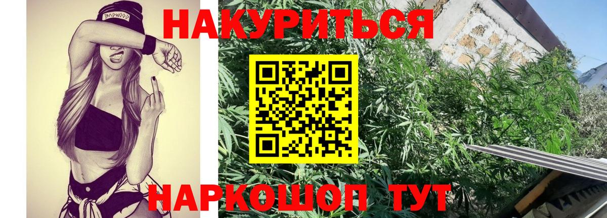 Конопля план Зеленокумск